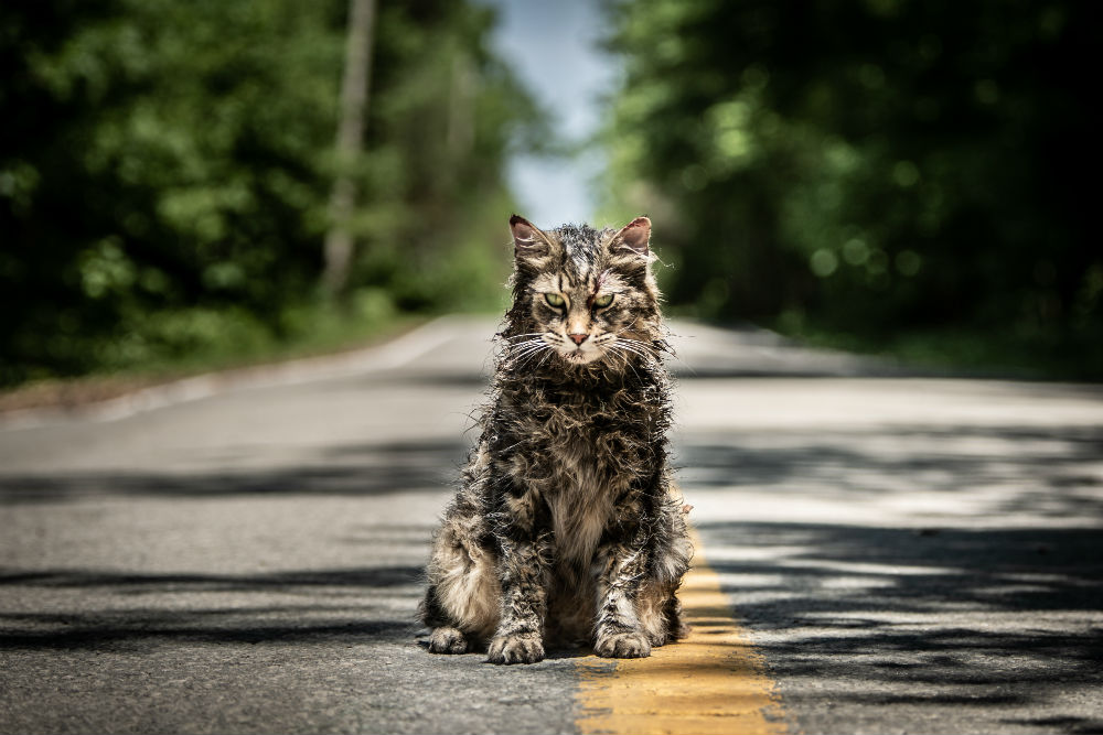 Pet Sematary Trailer, Release Date, Cast, and News Den of Geek