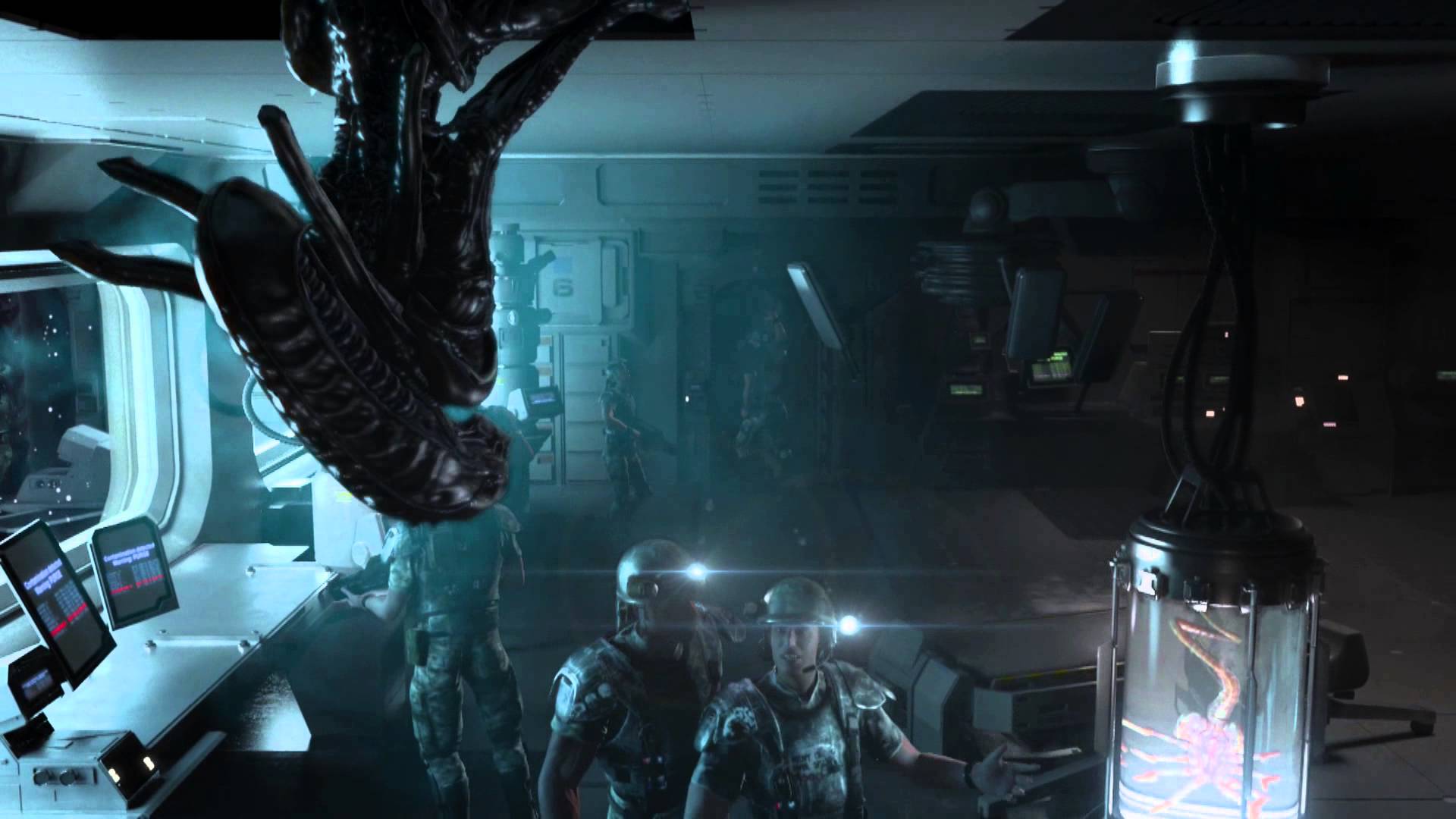 Trailer - ALIENS VS. PREDATOR Marine Trailer for PC, PS3 and Xbox 360 on  Make a GIF