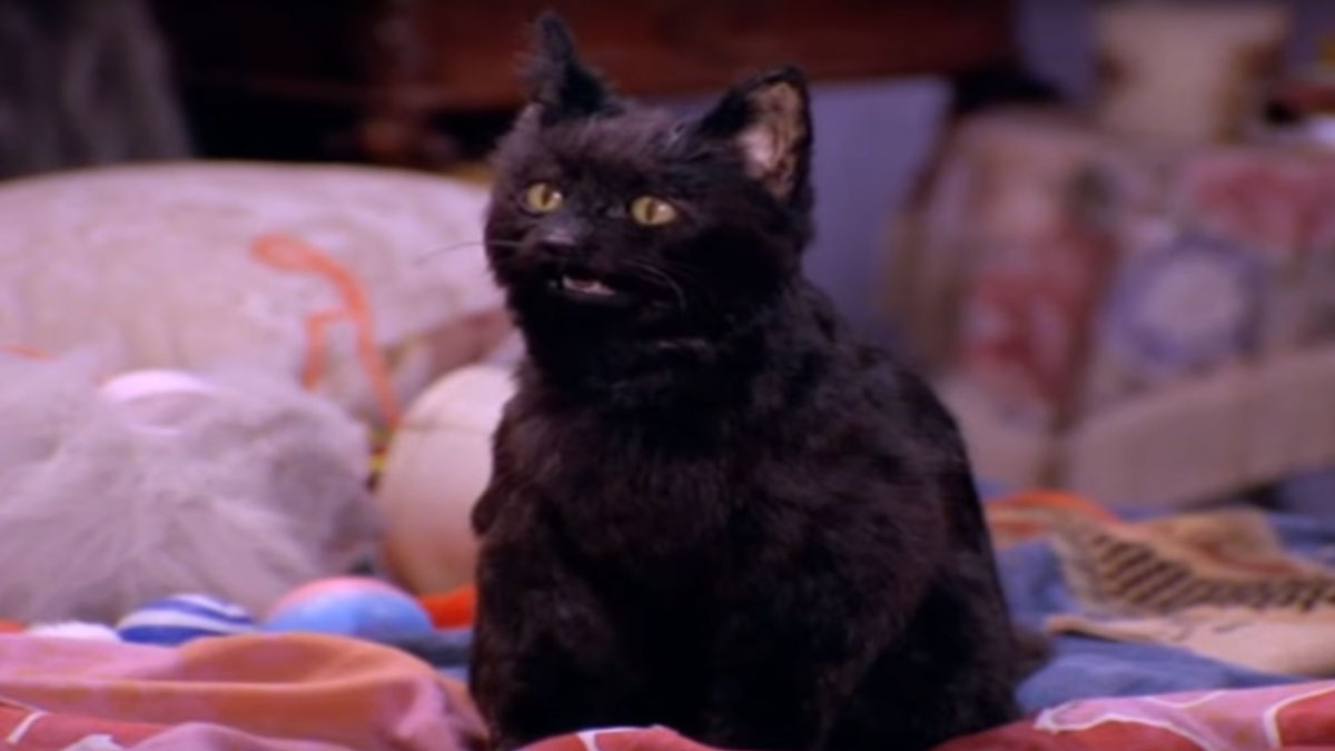 sabrina the teenage witch cat name