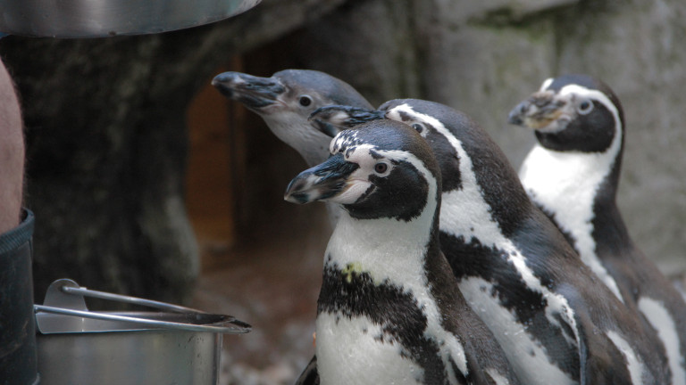 Uncovering the Secrets of the Zoo | Den of Geek