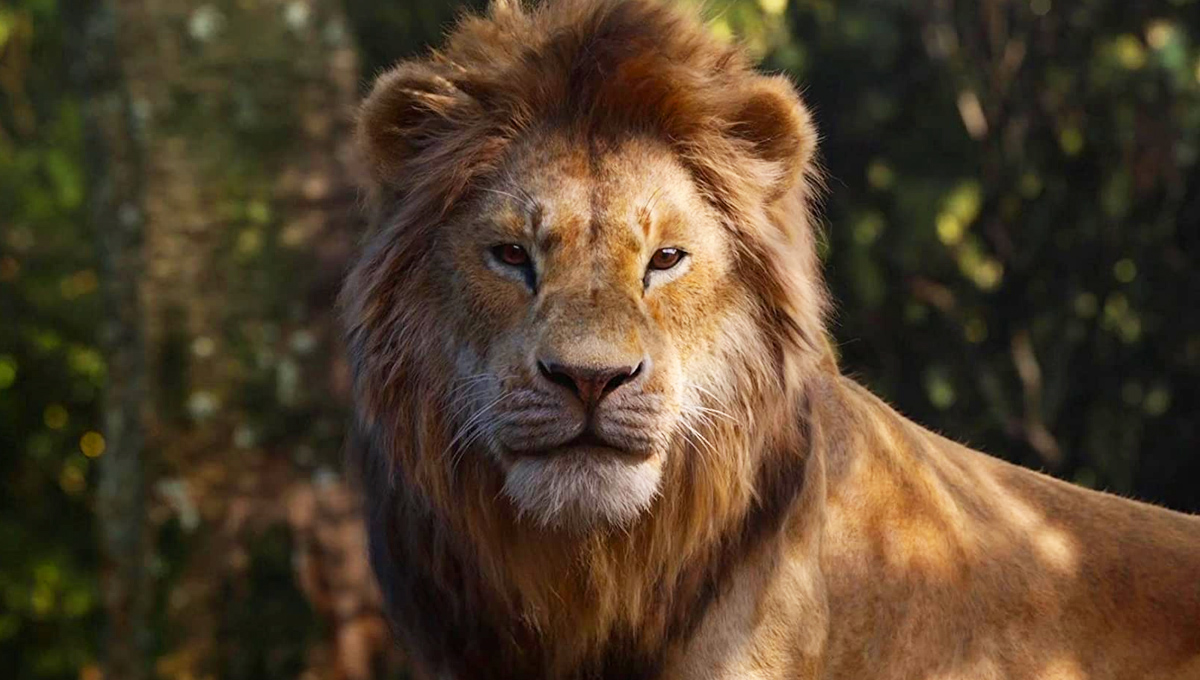 Mufasa The Lion King' Prequel Footage And Info Teased At D23 Expo