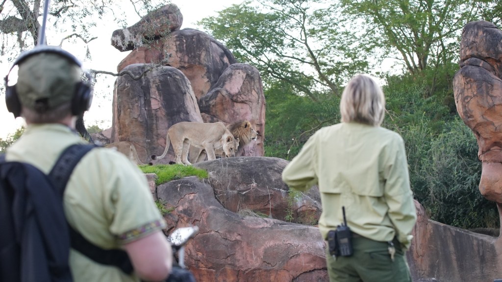 Animal Kingdom: Disney+ Takes Viewers Behind The Scenes of The Park