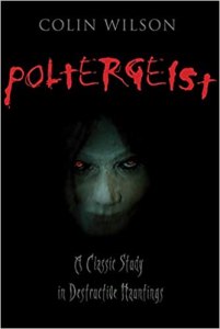 Poltergeist book jacket