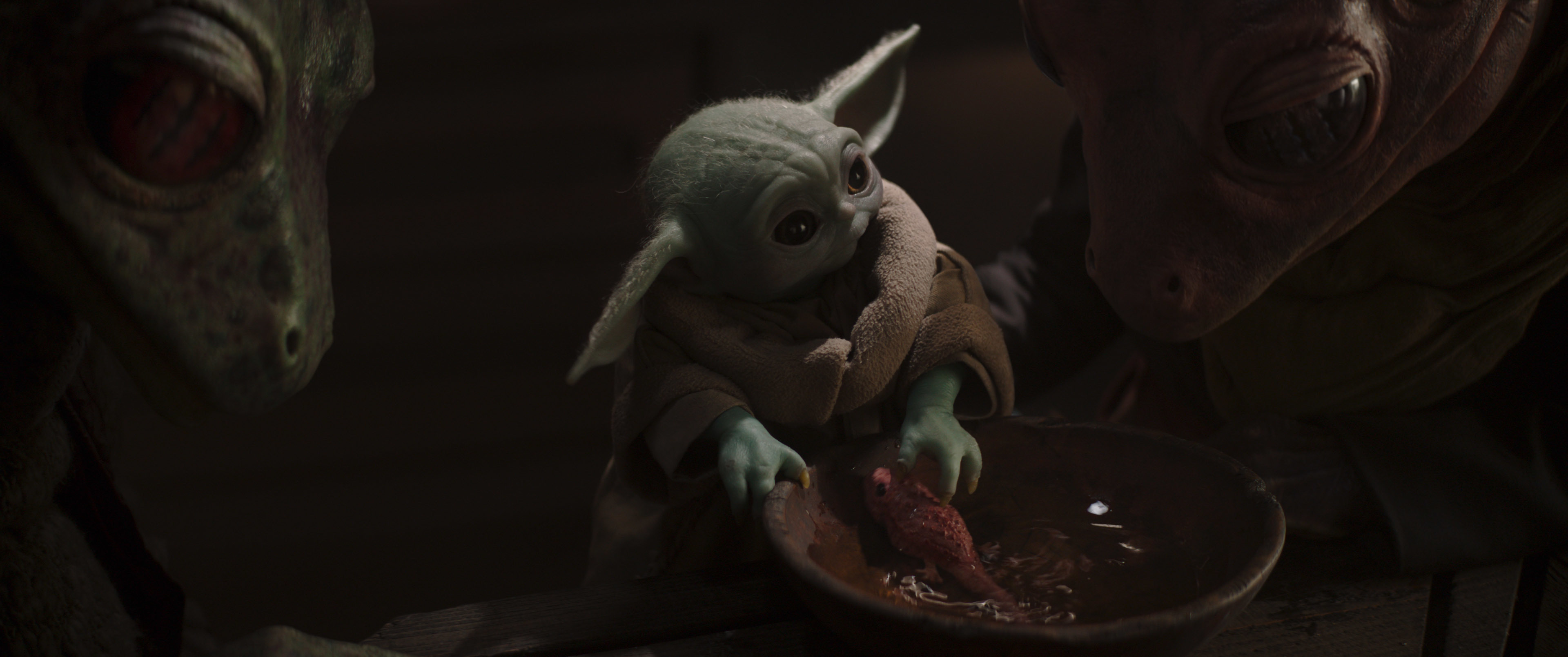 They say when a Yoda gets old it becomes blue, is that right? : r