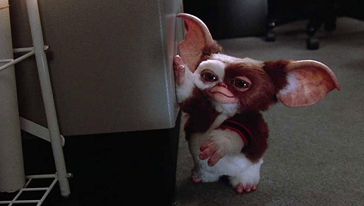 Gremlins 3 is Inevitable if HBO Max Series Succeeds, Says Zach Galligan