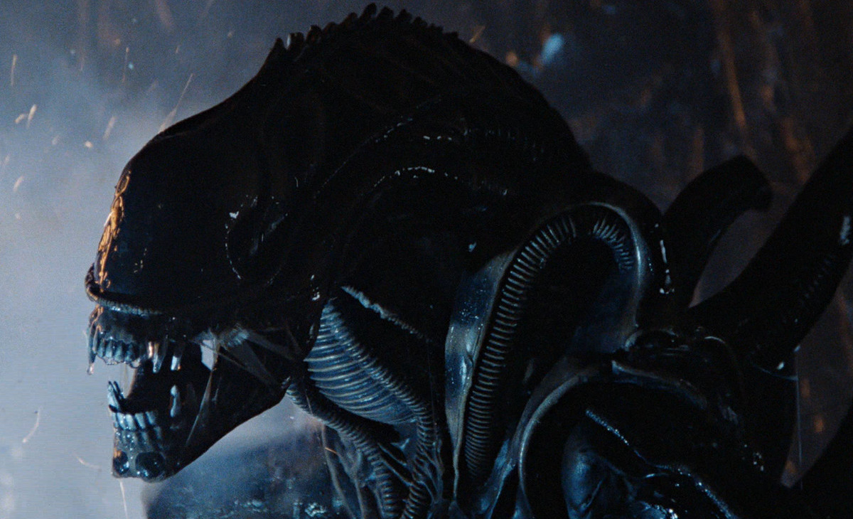 Updated Photos and Info for the new Alien 3, Predators, AvP, and