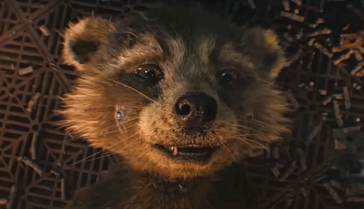 Guardians of the Galaxy Vol. 3' Review: Rocket's Backstory Revealed