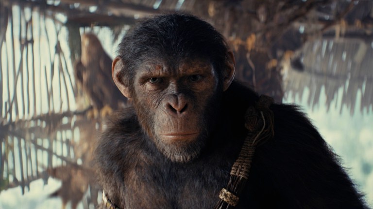 Noa in Kingdom of the Planet of the Apes