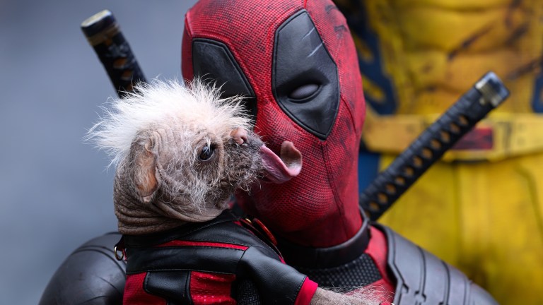 Ryan Reynolds and dog in Deadpool and Wolverine